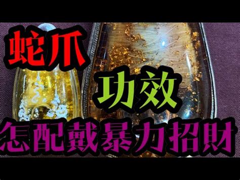 蛇爪禁忌|超級招財蛇爪！什麼人不能配戴？有什麼禁忌呢？